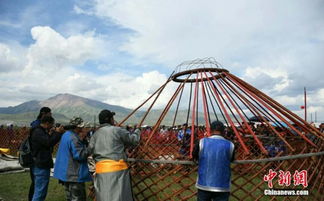 毡帐立草原，匠心筑家园——实拍新疆草原蒙古包搭建全程